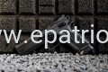 Pistolet KMR L-02 ORCA OR lufa 5"