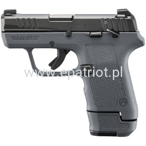 Ruger LCP Max - Magpul EHG - Gray (23702)